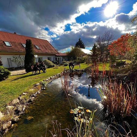Bed and Breakfast Pilisi Lovas Major, Dorog Esterno foto